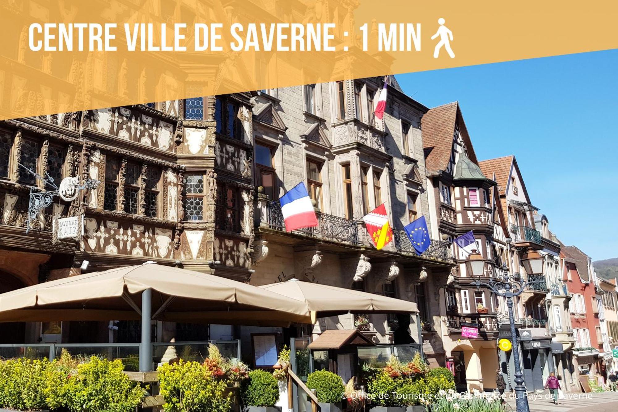 Les Rives Du Chateau, 90M2, Vue Sur Le Canal Саверн Екстериор снимка
